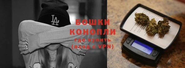 сатива Горнозаводск