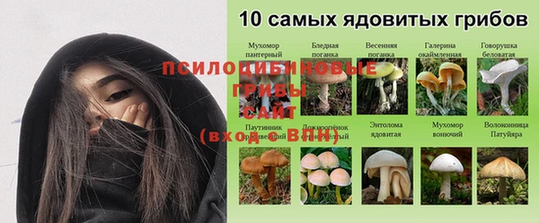 сатива Горнозаводск