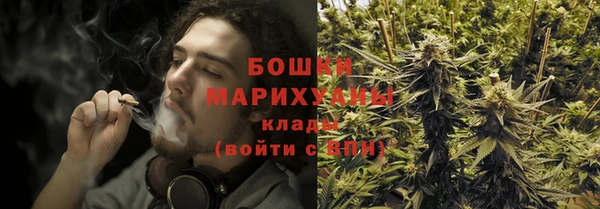 сатива Горнозаводск