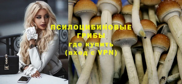 молекула духа Горно-Алтайск