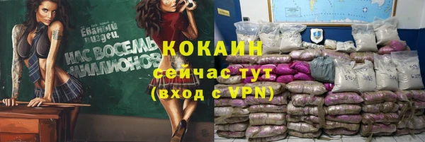 сатива Горнозаводск