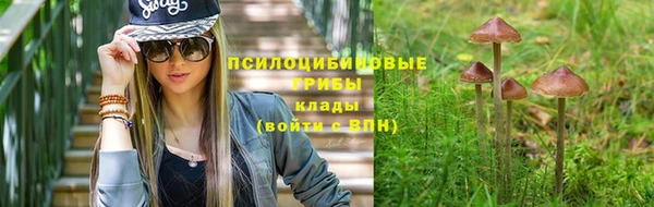молекула духа Горно-Алтайск