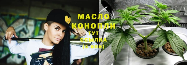 сатива Горнозаводск