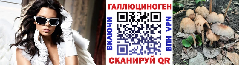 Купить где  Нарткала  Псилоцибиновые грибы мухоморы 